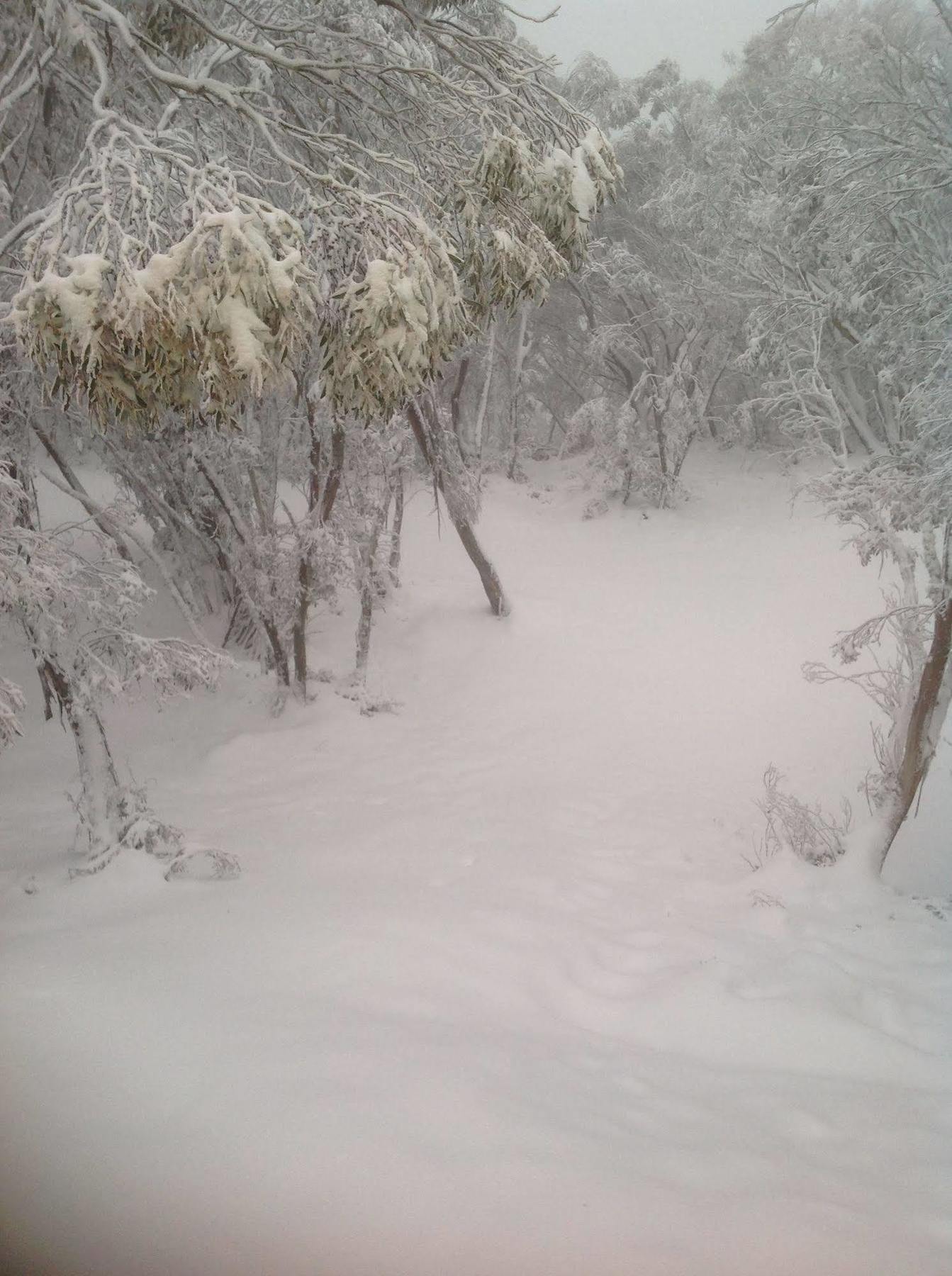 Terama Ski Lodge 불러 산 외부 사진